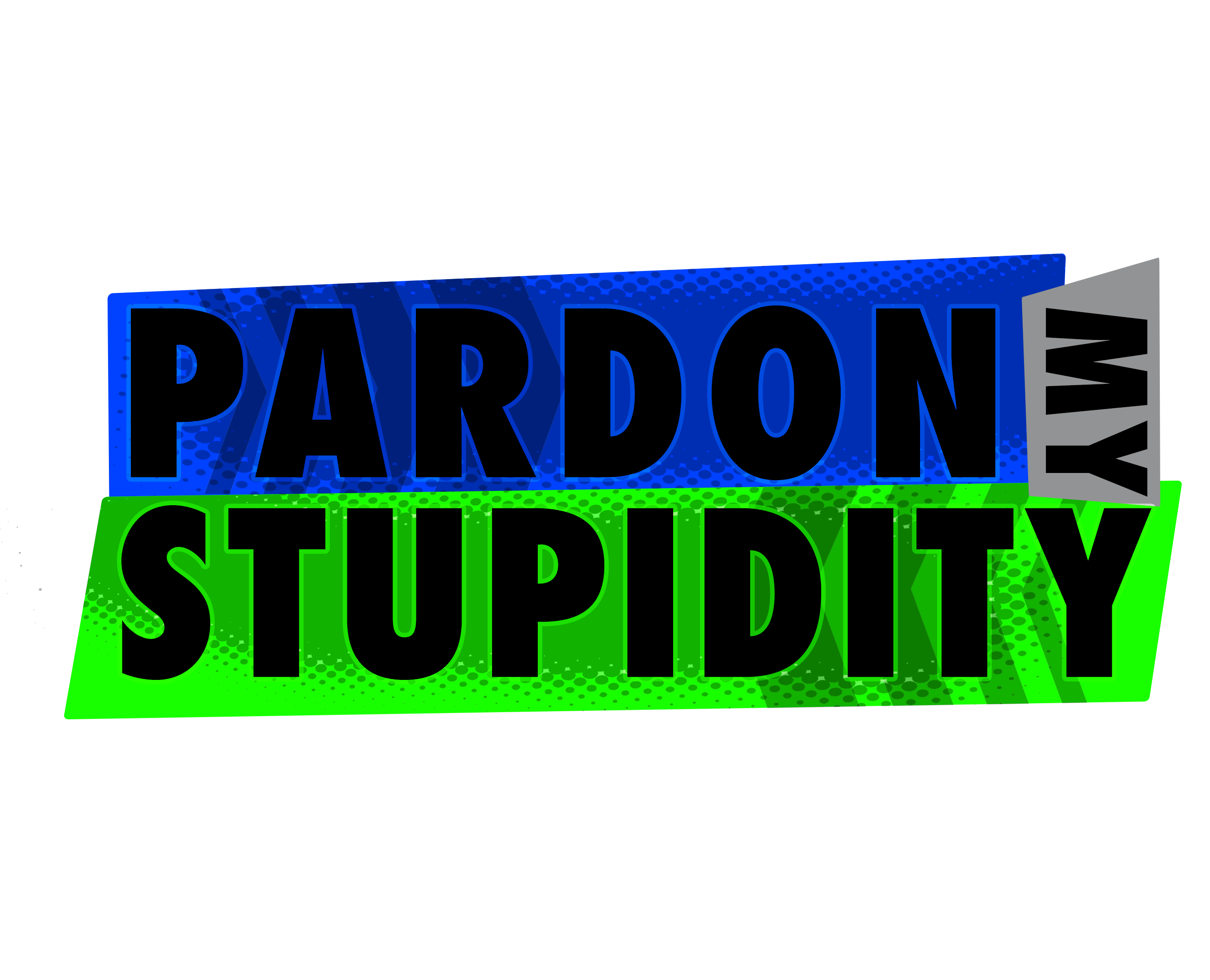 Pardon My Stupidity